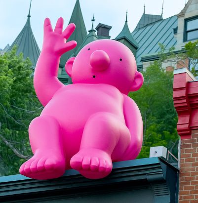 bonhomme rose proludik