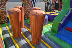 Party Rental and Bounce House Rental