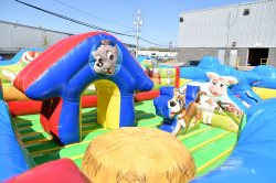 Party Rental and Bounce House Rental