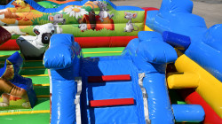 Party Rental and Bounce House Rental