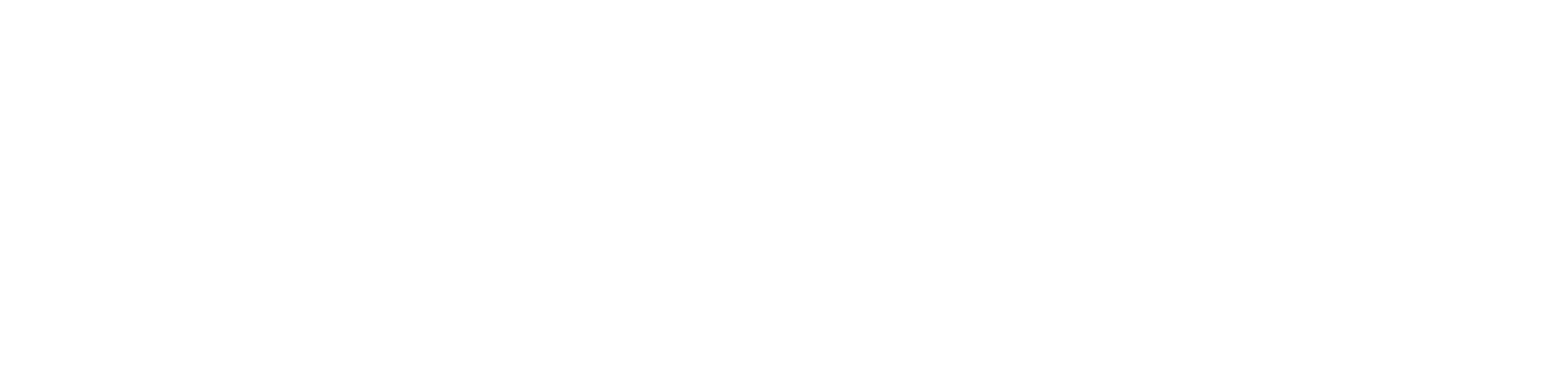 Party Rental and Bounce House Rental